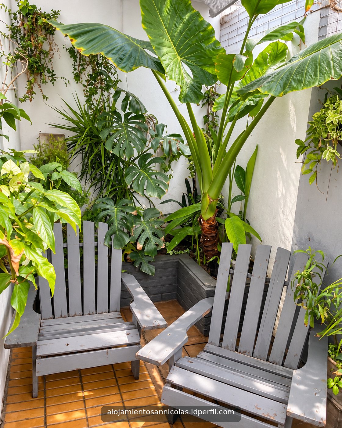 Patio con plantas